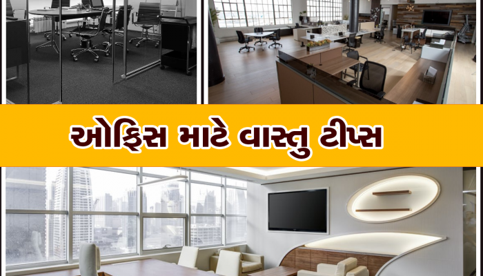 Vastu For Office: ઓફિસમાં બેસવાની દિશા બદલો, બદલાઈ જશે તમારી કિસ્મત, જાણો શું કહે છે વાસ્તુ શાસ્ત્ર