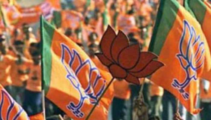 ચૂંટણી તૈયારીઓ પહેલા BJPનું મહામંથન, પાર્ટીમાં મોટા ફેરફારની તૈયારી!