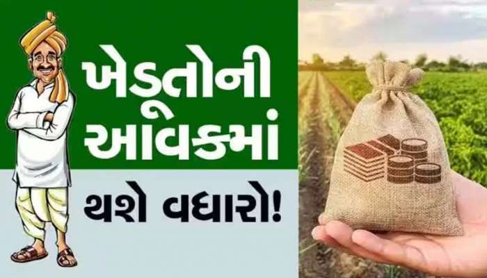 ગુજરાતના ખેડૂતો આનંદો! કપાસ-મગફળી સહિત ખરીફ પાકોના ટેકાના ભાવ જાહેર, જાણો શું છે ભાવ