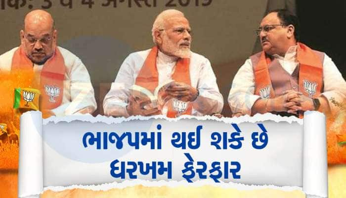 BJPમાં થઈ શકે છે મોટા ફેરફારો, રાજ્યોના પ્રદેશ પ્રમુખો બદલાશે? આમના તો કપાશે પત્તાં