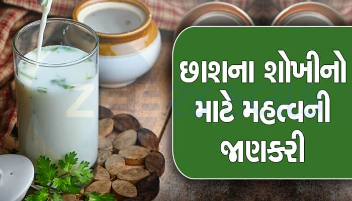 Buttermilk: ખોટા સમયે છાશ પીવાથી થાય છે નુકસાન...જાણો તેના સેવનનો સાચો સમય