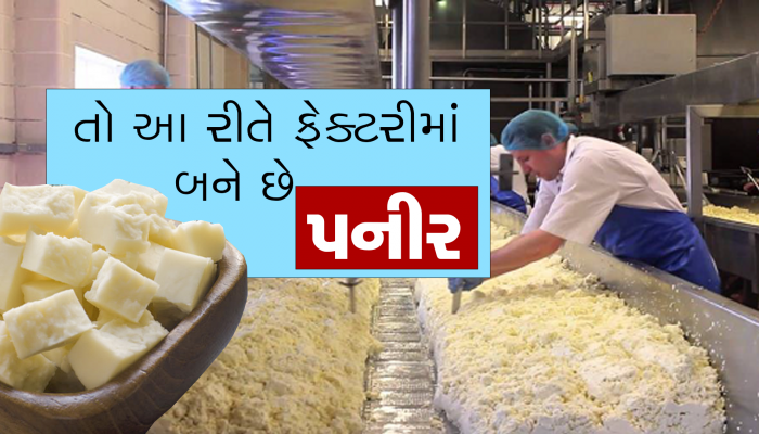 Fake Paneer: પનીર ખાતા પહેલા સાવધાન! શું તમે ખાતા નથીને નકલી પનીર? આ રીતે જાણો અસલી નકલીનો ભેદ