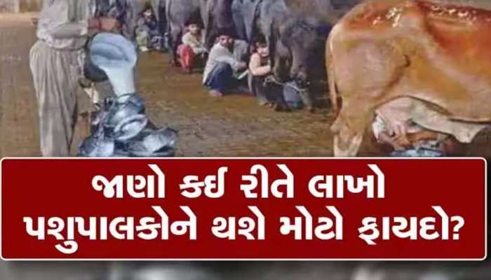 આ જિલ્લાના લાખો પશુપાલકો માટે ખુશીના સમાચાર; દૂધના ખરીદભાવમાં થયો ફરી એકવાર વધારો