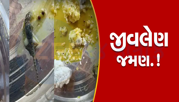છીં.. છીં... છીં! આ VIDEO જોઈ ચીતરી ચડી જશે; બાળકો દાળ-ભાત જમવા બેઠાંને થાળીમાં દેખાઈ ગરોળી....
