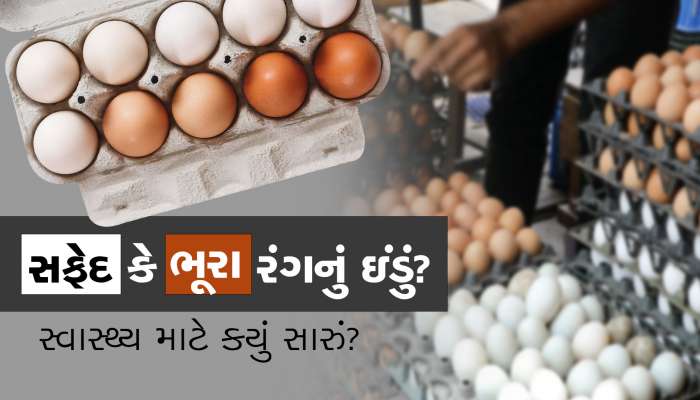 સફેદ ઈંડું કે બ્રાઉન ઇંડું? સ્વાસ્થ્ય માટે કયું છે ફાયદાકારક?