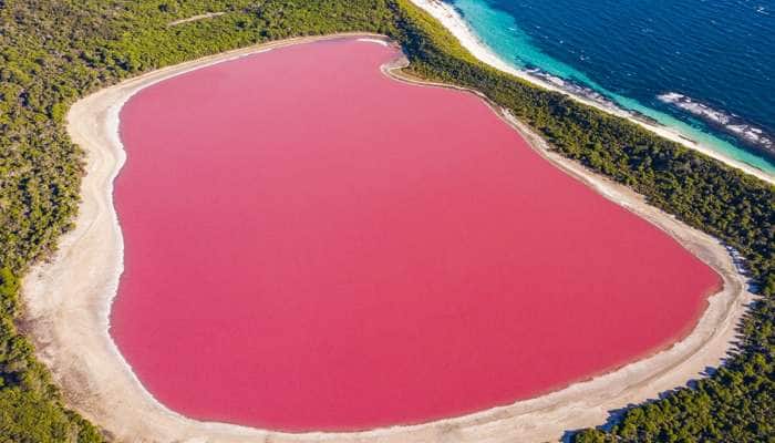આ છે દુનિયાનુ સૌથી યુનીક Pink Hillier Lake, જાણો કેમ તેનો રંગ છે ગુલાબી