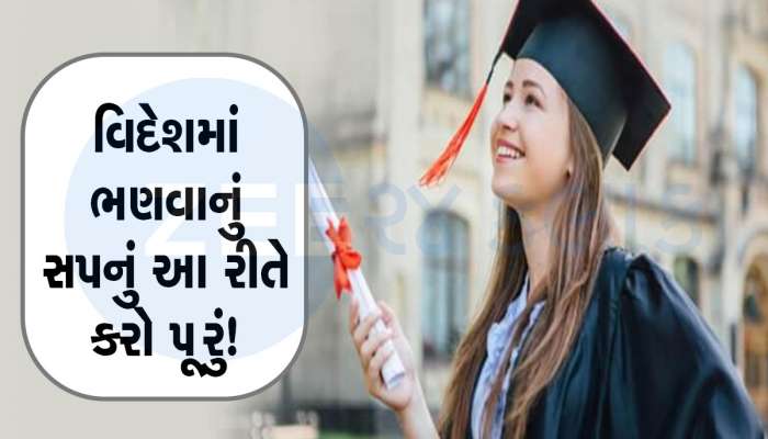 Education Loan Tips: કેવી રીતે પૂરું થશે વિદેશમાં ભણવાનું સપનું? આ રીતે કરો પ્લાનિંગ તો એજ્યુકેશન લોનનું નો ટેન્શન