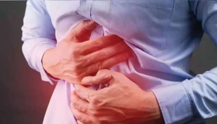 Foods For Constipation: શું તમે પણ કબજીયાતથી છો પરેશાન? આ ફાઈબર ફૂડ્સ કરશે તમારી મદદ