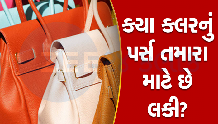 Purse Color Astrology: શું તમે ખોટા રંગનું પર્સ યુઝ કરી રહ્યા છો? તમારી રાશિ પ્રમાણે જાણો તમારો લકી કલર