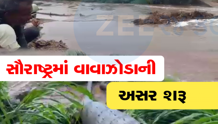 વાવાઝોડાનું તાંડવ શરૂ થઈ ગયું, વેરાવળમાં વાવાઝોડાએ ભારે વિનાશ વેર્યો 
