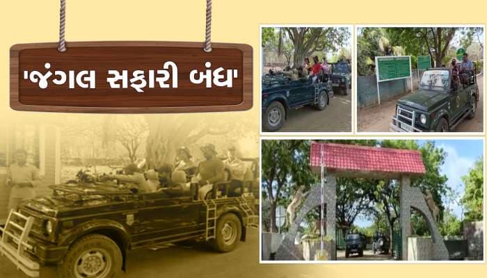 વાવાઝોડાના ખતરાને પગલે સાસણ ગીર- ગીરનારની જંગલ સફારી વહેલા બંધ કરાઈ