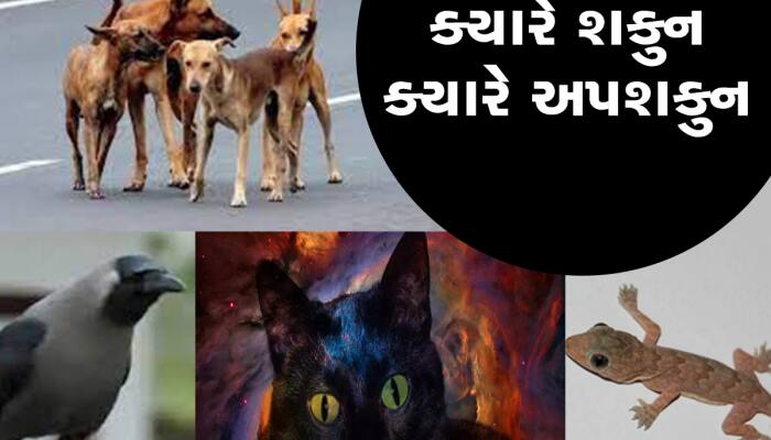 દુર્ભાગ્યથી બચવા અને સૌભાગ્ય પ્રાપ્ત કરવા હંમેશા યાદ રાખો શકુન અને અપશકુન