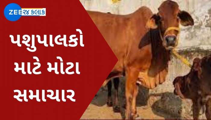 ગુજરાતના પશુપાલકોને ફાયદો આપવા સરકારનો મહત્વપૂર્ણ નિર્ણય, આ સહાય મુદ્દે મોટી જાહેરાત