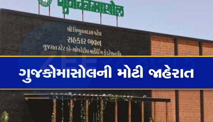 મોટી જાહેરાત! ગુજરાતમાં કોર્પોરેટ મોલને પણ ટક્કર મારે તેવા 250 મોલ શરૂ થશે, સસ્તામાં સસ્તી વસ્તું મળશે