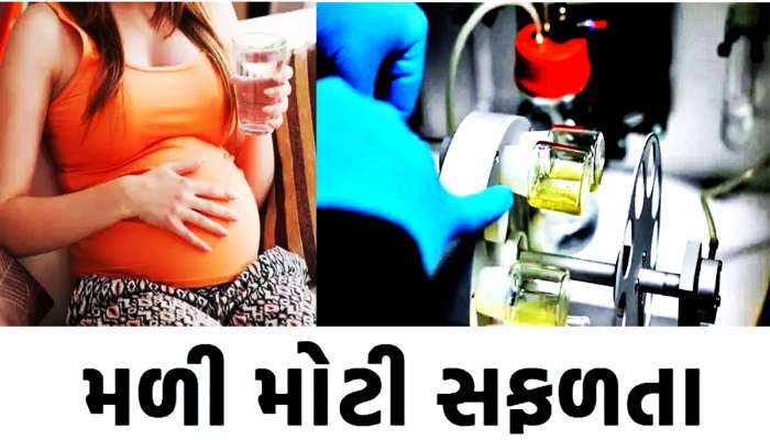 શુક્રાણુ અને અંડકોષ વિના વિકસાવ્યો માનવ ગર્ભ! હવે આ દિશામાં આગળ વધી રહ્યું છે વિજ્ઞાન