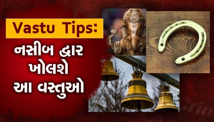 Vastu Tips: ઘરમાં સુખ-સમૃદ્ધિ અને શાંતિ જોઈતી હોય તો દરવાજા લગાવો આ વસ્તુઓ