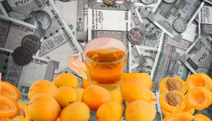 Business Idea: એક એવો બિઝનેસ...જે તમને ઓછા રોકાણે દર મહિને કરાવશે 55થી 60 હજાર રૂપિયાની તગડી કમાણી