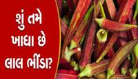 લીલા કે લાલ ભીંડા કયા વધુ હેલ્ધી? જાણો ડાયેટિશિયન પાસેથી સાચો જવાબ