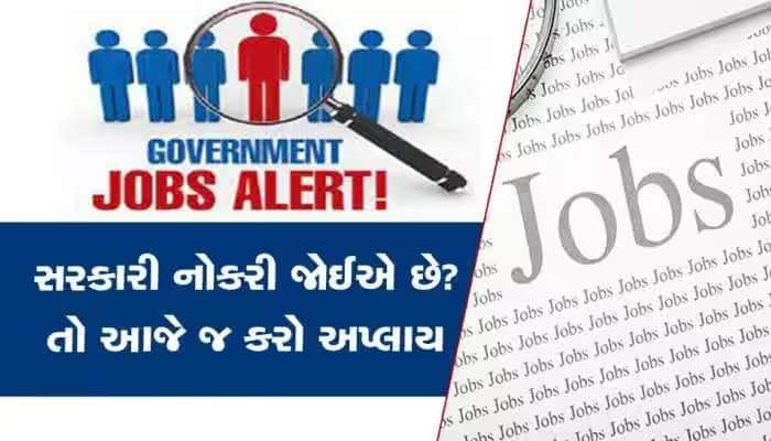 Government Jobs 2023: દેશભરના વિવિધ વિભાગોમાં સરકારી નોકરીઓ માટે બમ્પર વેકેન્સી