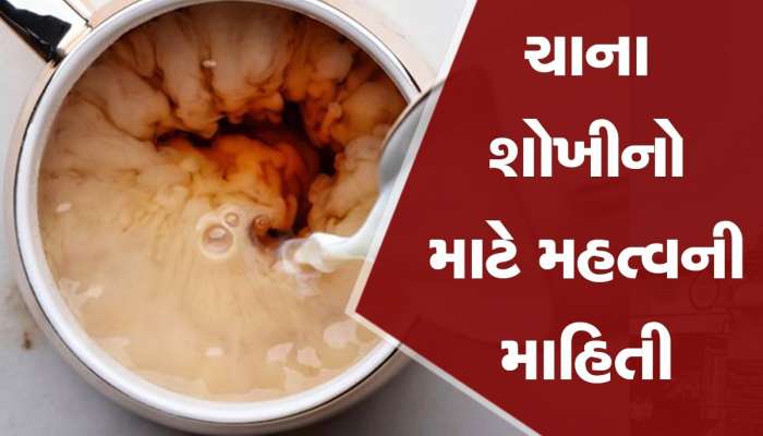 Tea Making : ગેરંટી કે તમને ચા બનાવતાં નથી આવડતી, આ છે ચા બનાવવાની સાચી રીત