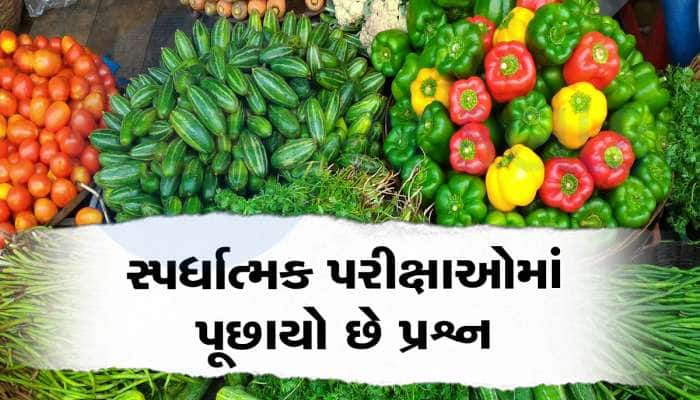 Quiz: શાકભાજીઓનો રાજા બટાકા તો જાણો રાણી કોણ? આ રહ્યો જવાબ