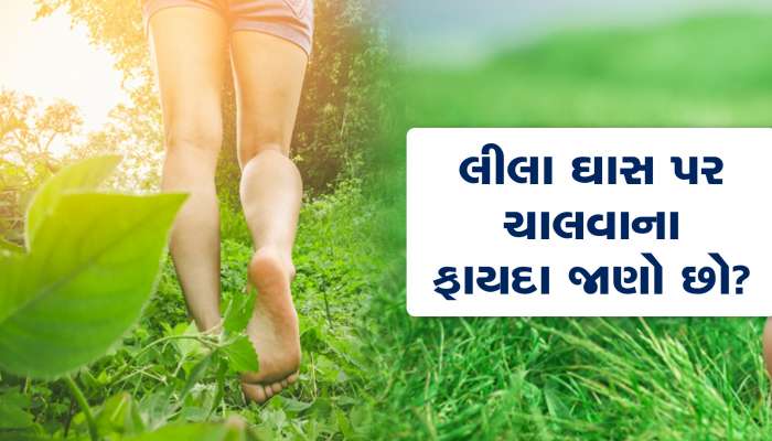 લીલા ઘાસ પર ખુલ્લા પગે ચાલવાના અનેક ફાયદા, આટલી બિમારીઓ દૂર રહેશે