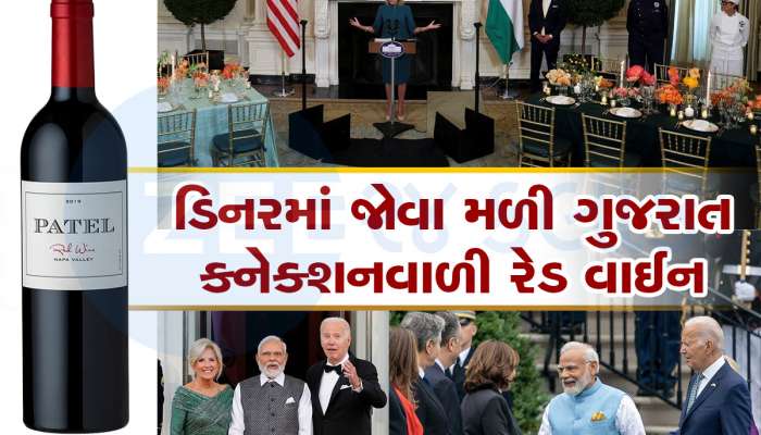 અમેરિકામાં જોવા મળ્યો પાટીદાર પાવર, મહેમાનોને પીરસાઈ 'પટેલ વાઈન', ખાસ જાણો તેના માલિક વિશે 