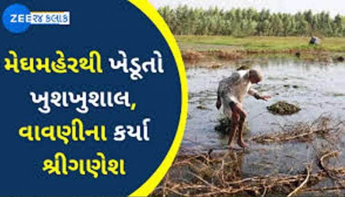 ગુજરાતમાં ખરીફ વાવેતર: 11.78 લાખ હેક્ટરમાં ખેડૂતોએ કરી વાવણી, કપાસનું વધ્યું તો મગફ