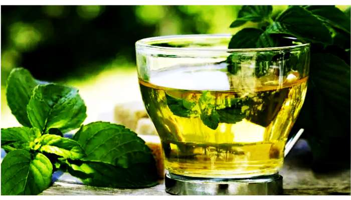 Green Tea પીતા પહેલાં આ રીતે ચકાશો અસલી છે કે નકલી, નહીં તો ફાયદાને બદલે થશે નુકસાન