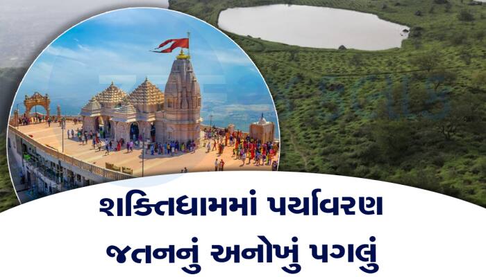 ભક્તોએ ચઢાવેલા નારિયેળથી લીલોછમ બન્યો પાવાગઢ, શક્તિધામની કાયાપલટ થઈ ગઈ