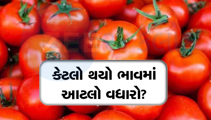 સામાન્ય જનતાને મોટો ઝટકો, 4 ગણા મોંઘા થયા ટામેટા, 1 કિલોનો ભાવ 120 રૂપિયા પહોંચ્યો