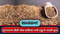 શું તમે આવું જીરું તો નથી આરોગતા'ને? 'બનાવટ' જોઈ ફૂડ વિભાગ પણ માથું ખંજવાળતું રહી ગય