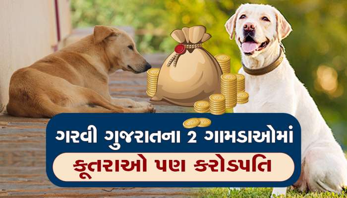 ગુજરાતના આ 2 ગામમાં માણસો તો છોડો...કૂતરાઓ પણ છે કરોડપતિ, જાણીને મજા આવશે!