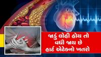ઘટ્ટ લોહીને પતળું કરવાનો આ રહ્યો આર્યુવેદિક ઉપાય,જીંદગીમાં ક્યારેય નહી આવે હાર્ટએટેક