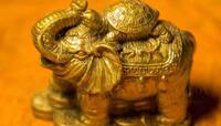 Feng Shui Tips: ફેંગશુઈ હાથીના ફાયદા જાણશો, આજે જ ઘરે લાવશો, ધનના થશે ઢગલા