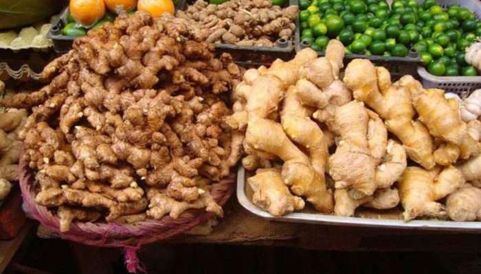 Ginger Price Hike: ગૃહિણીઓનું બજેટ ખોરવાયું! હવે આદુ વગરની ચા પીવી પડશે, ભાવ પહોંચ્યા આસમાને
