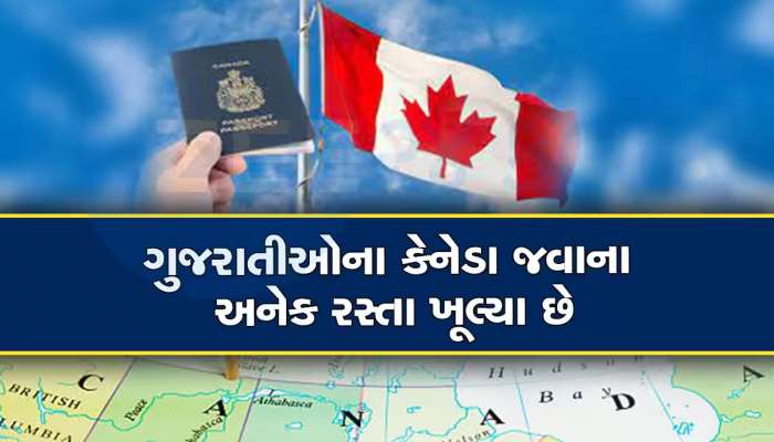 કયા મહિનામાં કેનેડા જવું સૌથી સારું, વિદ્યાર્થીઓના મૂંઝવતા સવાલનો આ છે જવાબ 