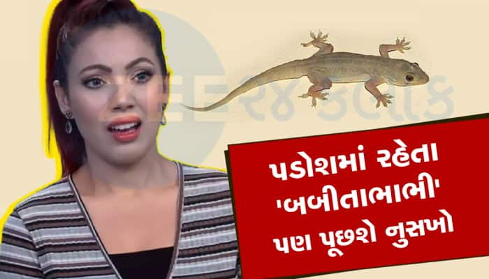 Lizards: ઘરમાં ગરોળીથી મહિલાઓ કરે છે બુમાબુમ! એકવાર અજમાવી જુઓ આ 6 ઉપાય એ ફફડી જશે