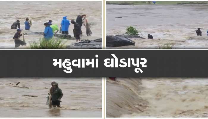 મહુવામાં ઘોડાપૂરની પરિસ્થિતિ, શાળાઓમાં ઘૂંટણસમા પાણી ભરાયા