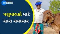 પશુપાલકોના હિતમાં ગુજરાત સરકારે લીધો અત્યંત મહત્વપૂર્ણ નિર્ણય, જાણો વિગતવાર માહિતી