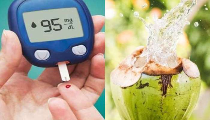 Diabetes ના દર્દીઓએ નાળિયેર પાણી પીવું જોઈએ કે નહીં? જાણો બ્લડ શુગર લેવલ ઓછું થાય કે વધે 