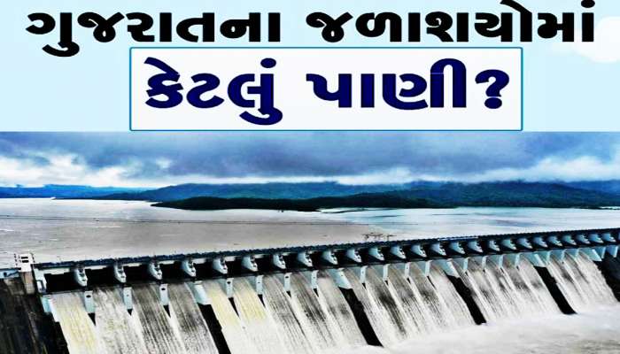 ગુજરાતના કુલ 206 જળાશયોમાં હાલ કેટલું પાણી છે? જાણો જળાશયોની સ્થિતિ