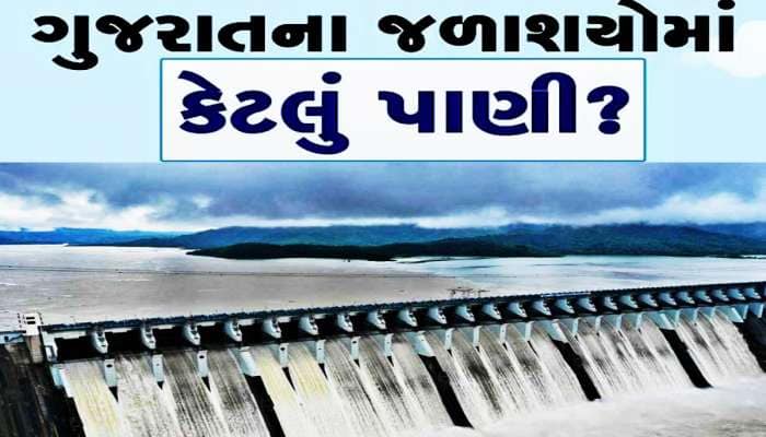 ગુજરાતના કુલ 206 જળાશયોમાં હાલ કેટલું પાણી છે? જાણો જળાશયોની સ્થિતિ