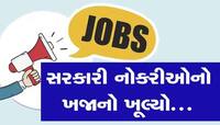 દેશભરના વિવિધ વિભાગોમાં સરકારી નોકરી માટે બમ્પર વેકેન્સી, ફટાફટ કરો અરજી