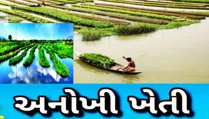 પૂરના પાણીથી નહીં ધોવાય પાક, તરતા બગીચામાં ખેતી કરવાથી થશે તગડી કમાણી