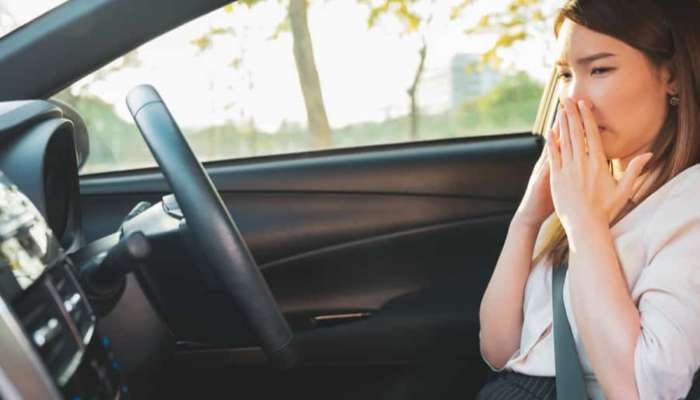 Car Tips: વરસાદની સિઝનમાં કારમાંથી આવતી સ્મેલથી છો પરેશાન! તો મફતમાં આ રીતે મેળવો છૂટકારો 