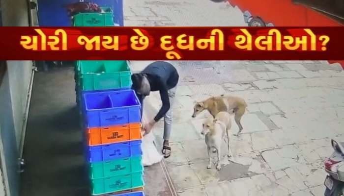  સાવધાન! ગુજરાતમાં હવે દૂધ પણ સુરક્ષિત નથી!! છેલ્લા ત્રણ દિવસથી અહીં તસ્કર ચાખી ચૂક્યા છે દૂધનો સ્વાદ 