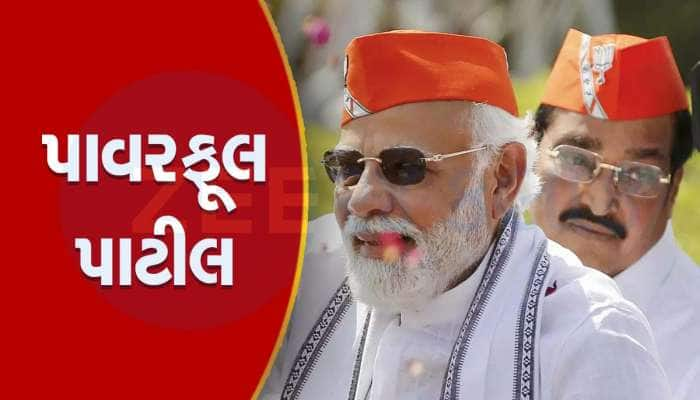 ગુજરાત માટે પાટીલ કેમ અગત્યના? જાણો ભાજપ હાઈકમાન્ડને કેમ છે પાટીલ પર સૌથી વધુ ભરોસો