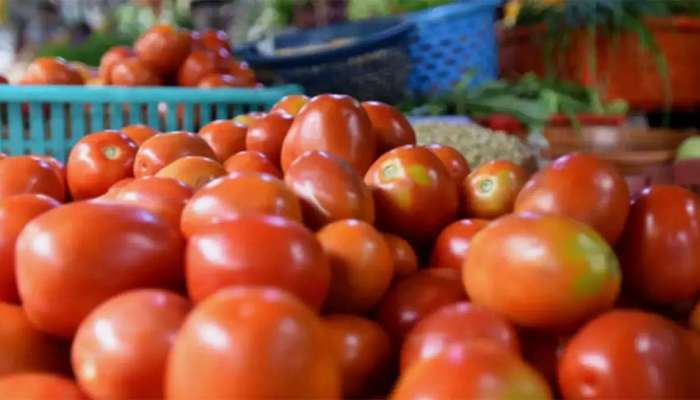 Tomato price: ટમેટાના ભાવમાં ઉછાળો, વધેલા ભાવ જાણી ટમેટા ન ખાવાની લઈ લેશો બાધા