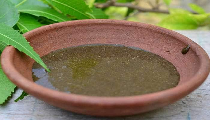 Neem Oil: ચોમાસામાં નહીં ખરે એક પણ વાળ, આ રીતે લીમડાનું તેલ કરશે વાળ પર જાદૂ